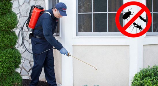 Çeşme Akrep İlaçlama böcek ilaçlama ve haşere kontrolü — ilaclama-tr.com